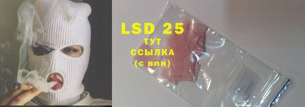 спайс Баксан