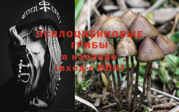 спайс Баксан