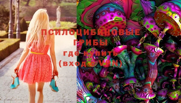 гашик Балахна